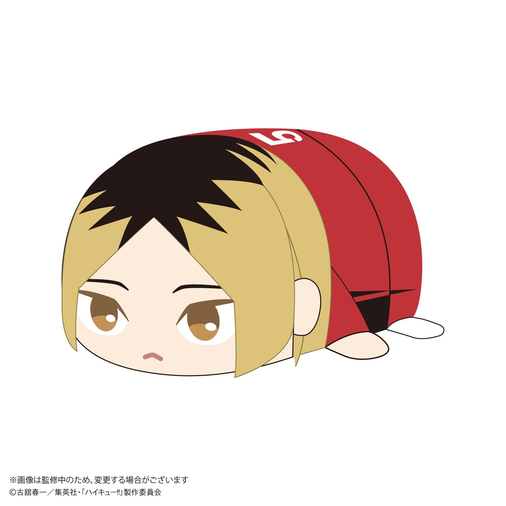 HQ-81 Haikyu!! Potekoro Mascot (M Size) 2 B Kozume Kenma