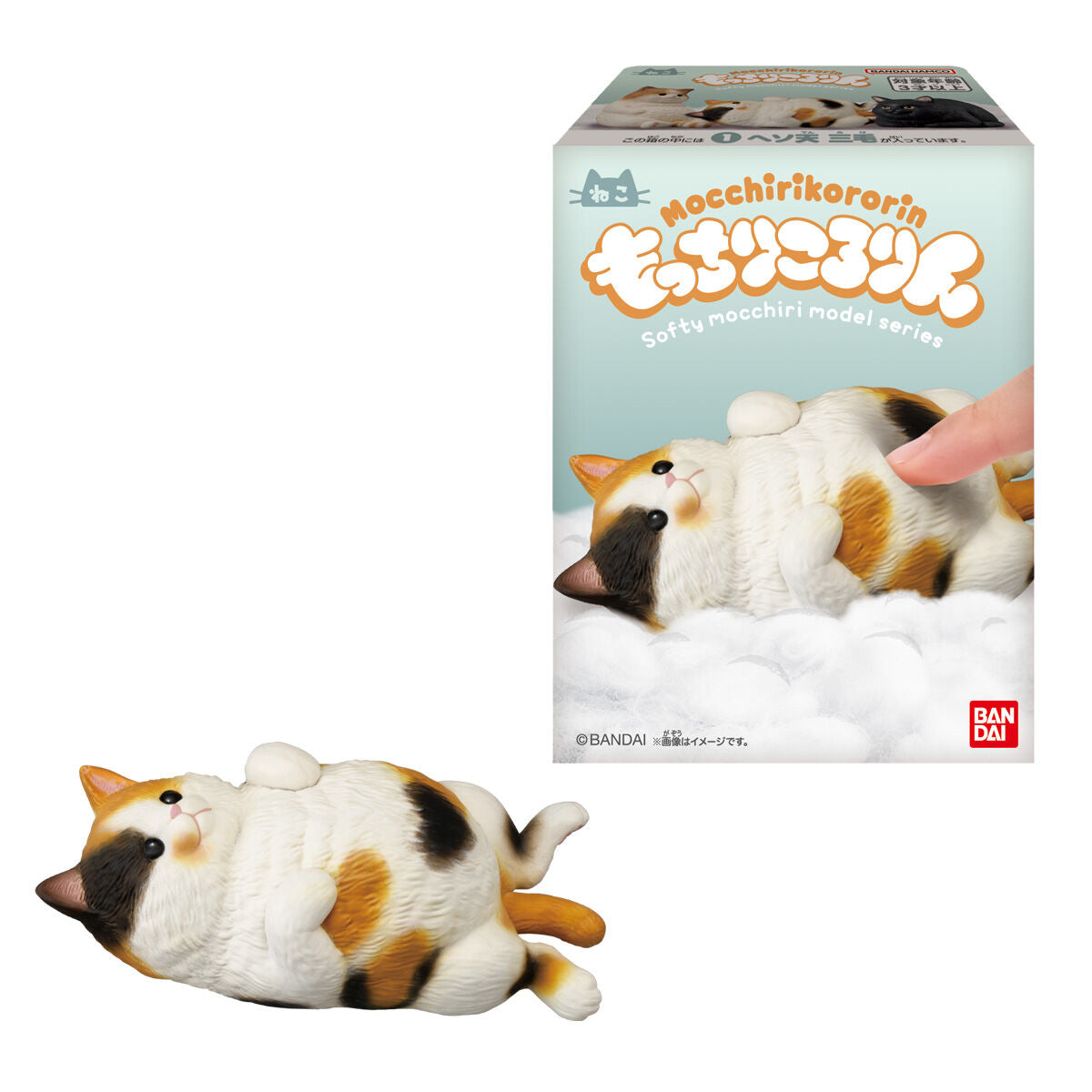 Mocchirikororin Cat