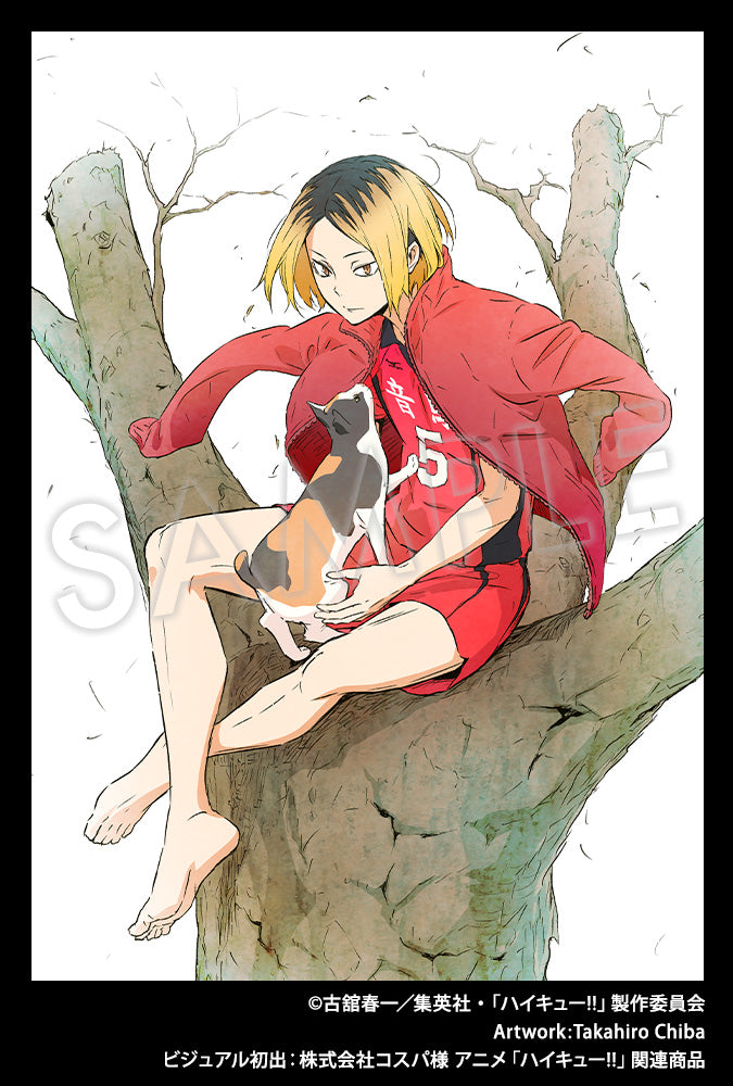 Haikyu!! ARTFXJ Statue 1/8 Kenma Kozume 21cm – AVO Blind Box