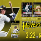 DREAM ORDER Team Booster Hanshin Tigers - Mouko no Yuushi (Professional Baseball Card Game)