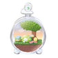 Sumikko Gurashi Everyday Terrarium