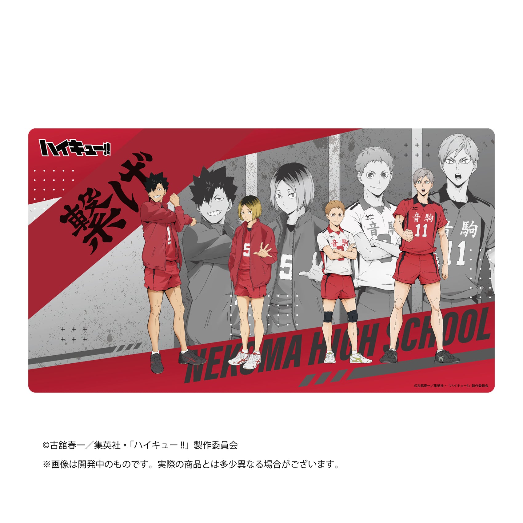 Rubber Desk Mat Collection Haikyu!! Nekoma High School