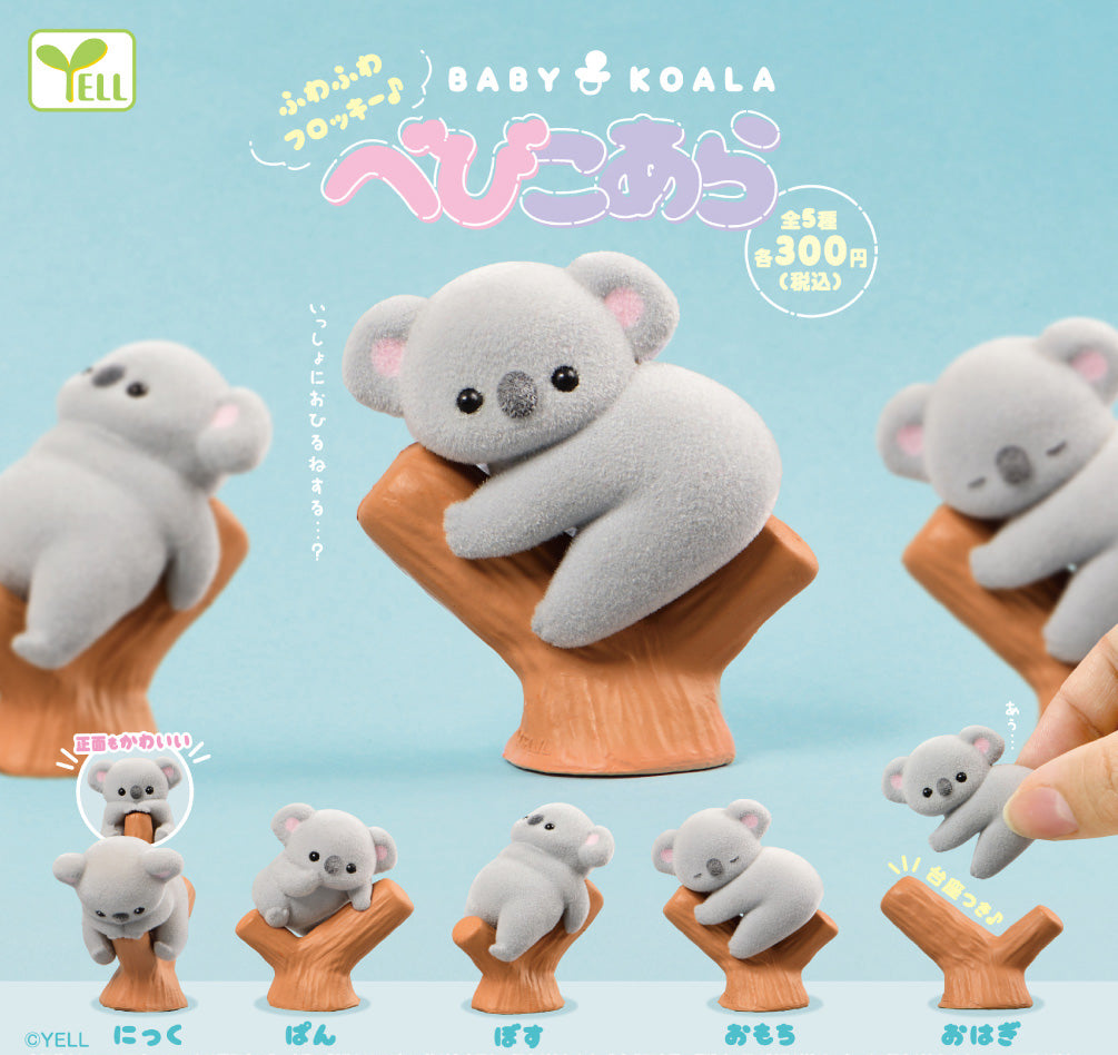 Baby Koala