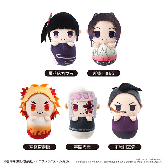 Demon Slayer: Kimetsu no Yaiba Pyoco-nui Plush Vol. 2