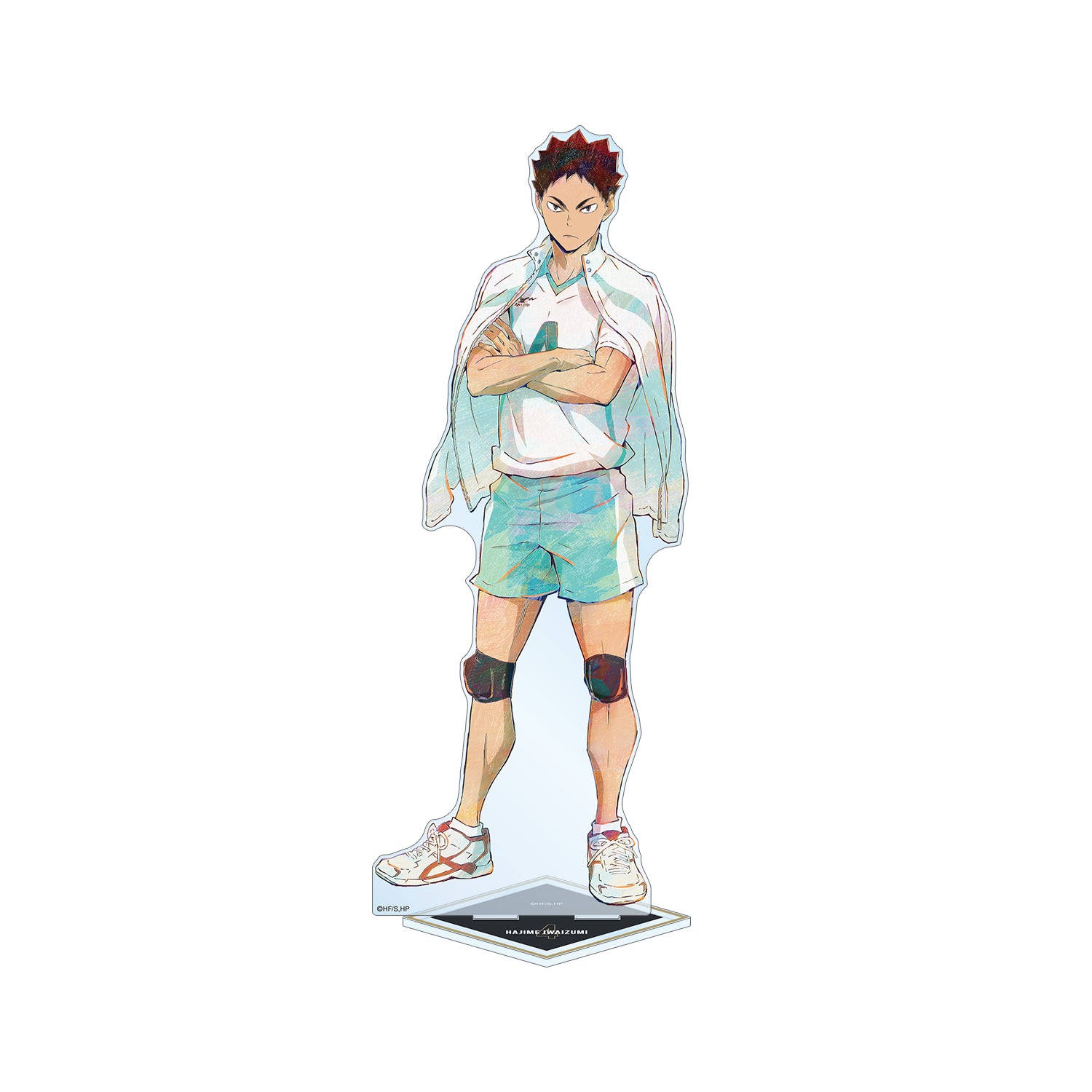 Haikyu!! Iwaizumi Hajime Ani-Art Vol. 5 Extra Large Acrylic Stand