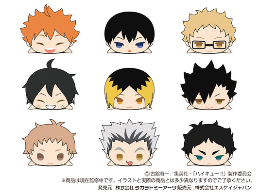 Mochimochi Mascot WA Haikyu!! Vol. 1