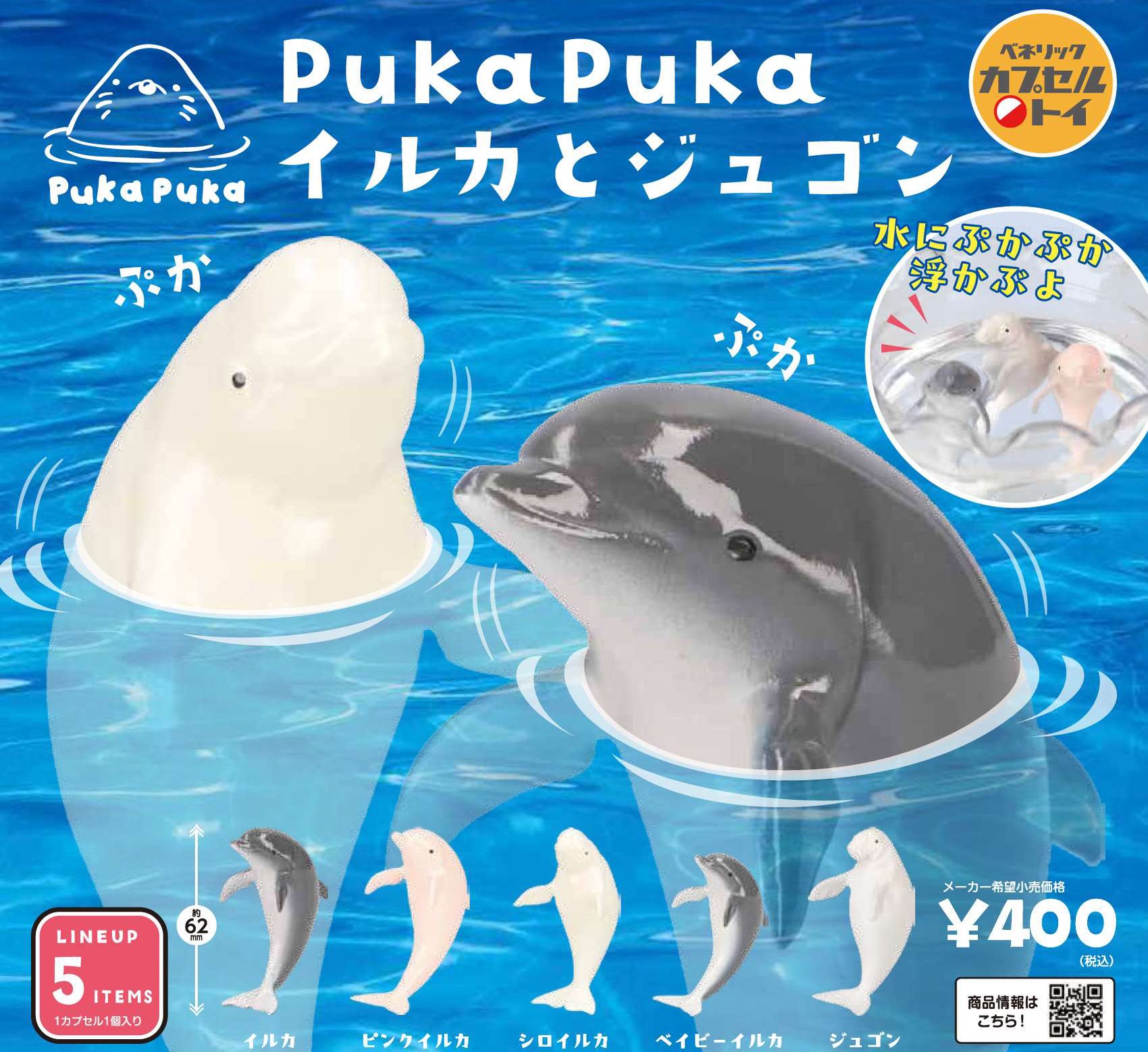 PukaPuka Dolphin & Dugong