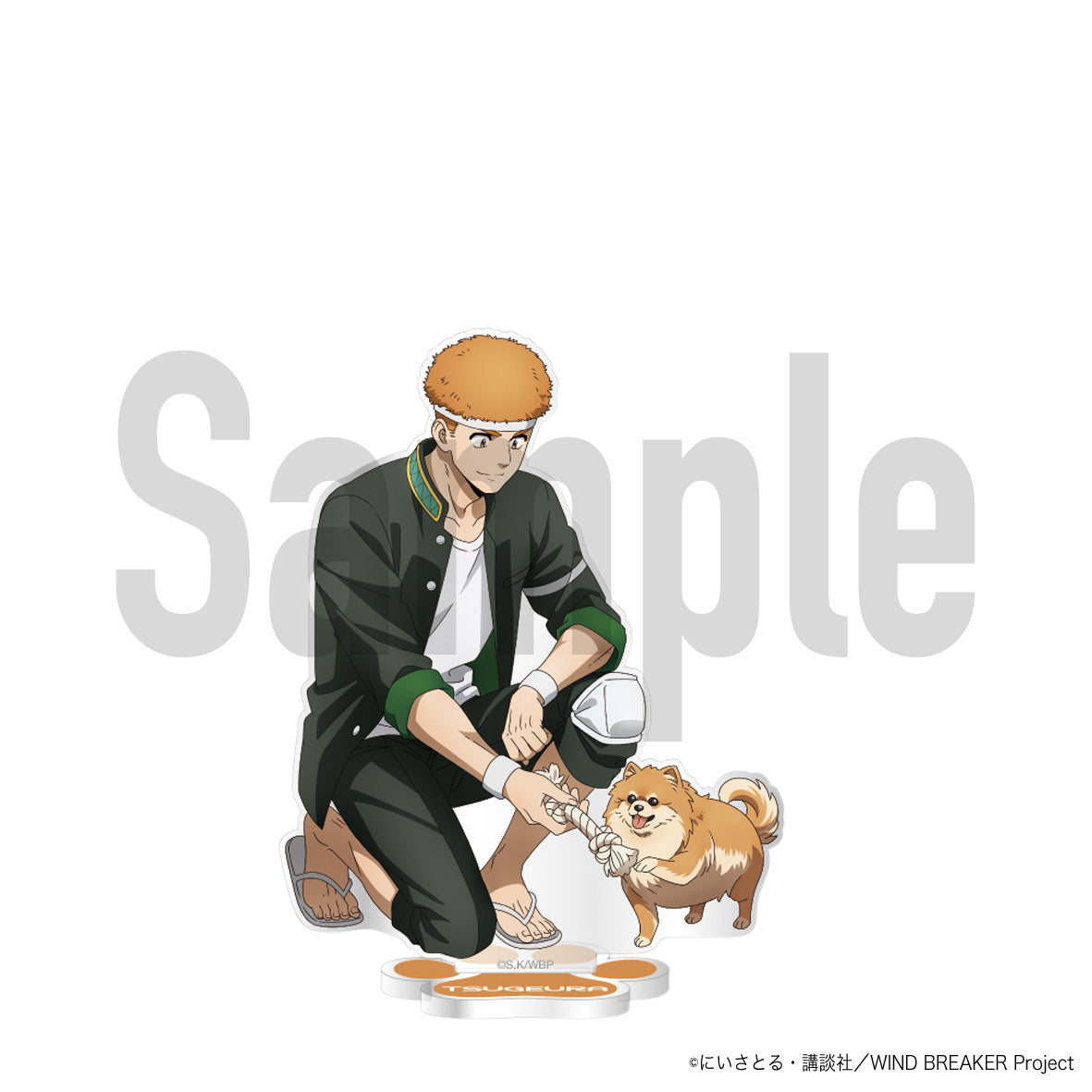 Wind Breaker Acrylic Stand Original Illustration Ver. Tsugeura