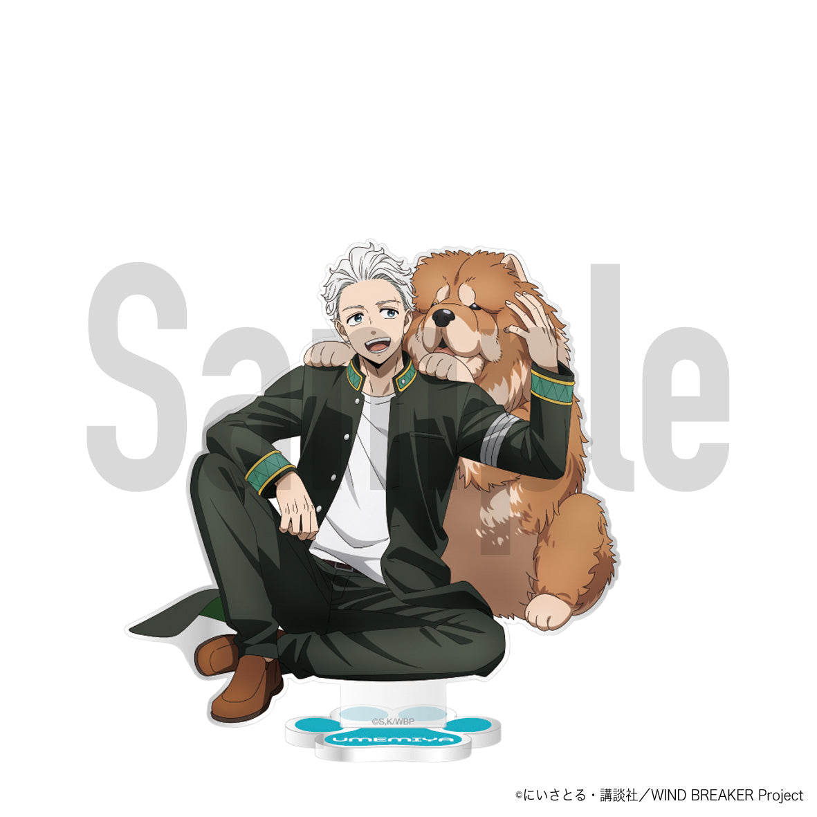 Wind Breaker Acrylic Stand Original Illustration Ver. Umemiya