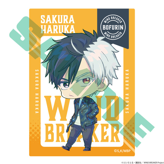 Wind Breaker Trading Clear Card
