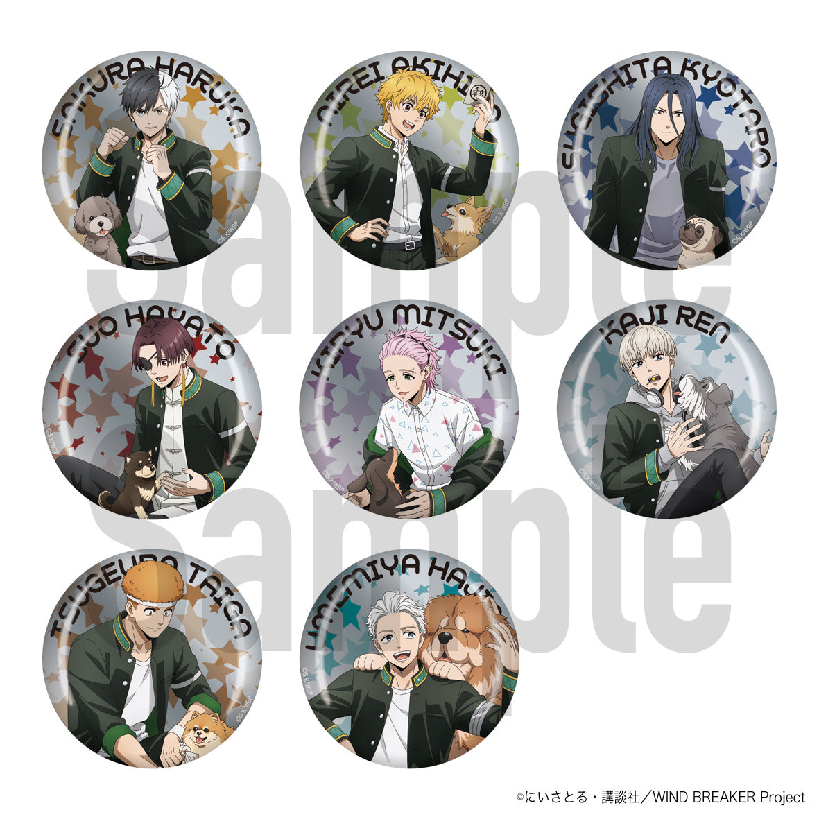 Wind Breaker Trading Tsuya Can Badge